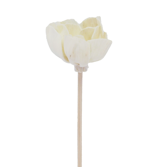 Fleur d'Andromède campanulée - Bâtonnet diffuseur en rotin