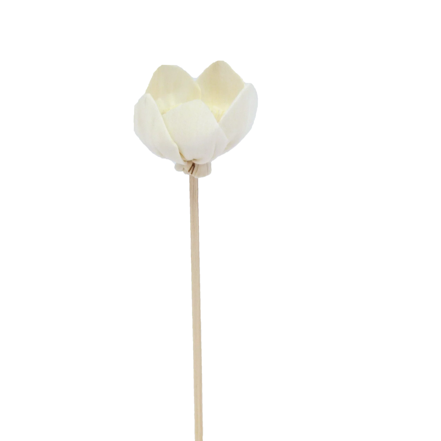 Fleur de Narcisse - Bâtonnet diffuseur en rotin