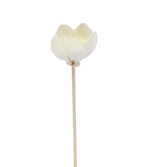 Fleur de Narcisse - Bâtonnet diffuseur en rotin
