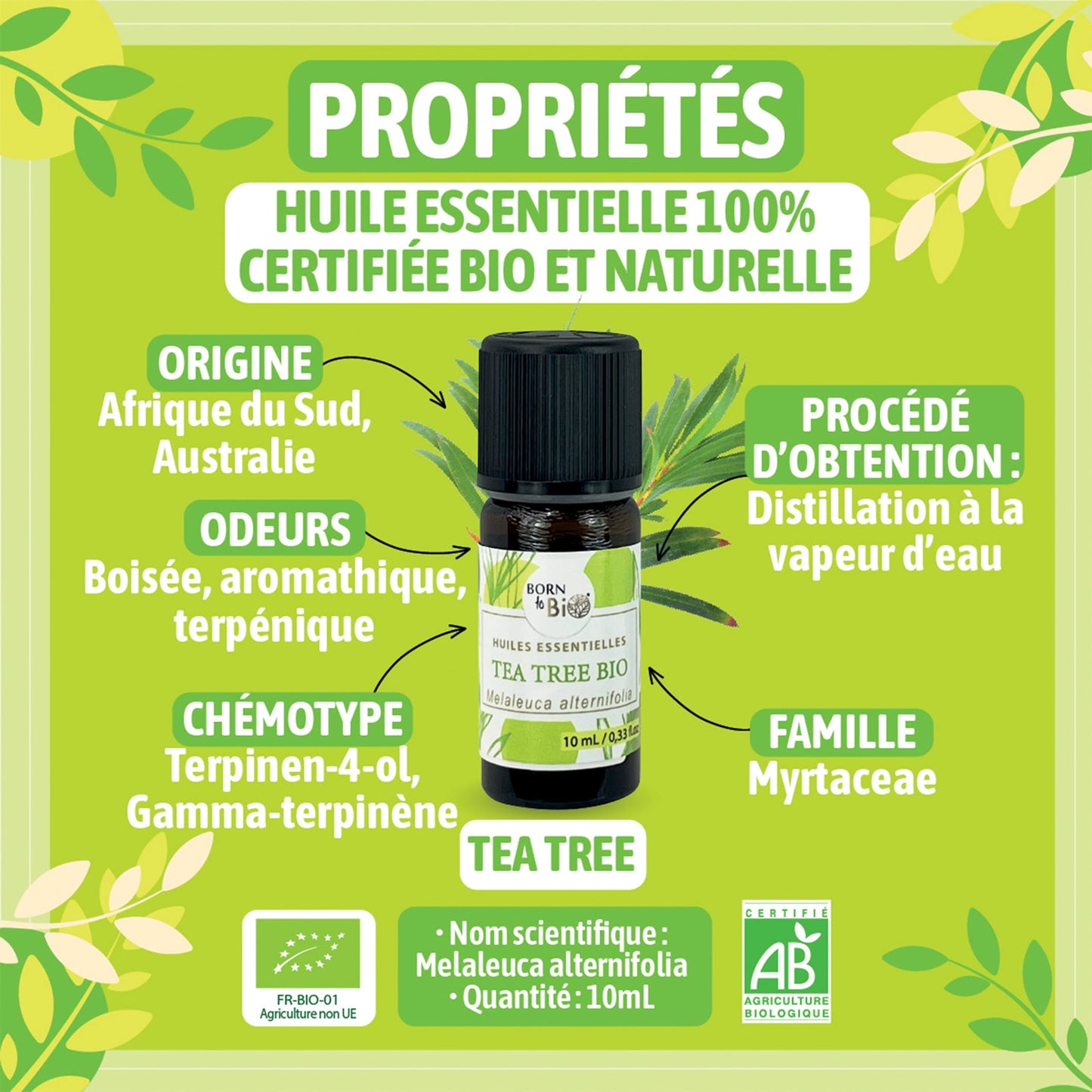 Huile essentielle Tea tree Certifiée Bio