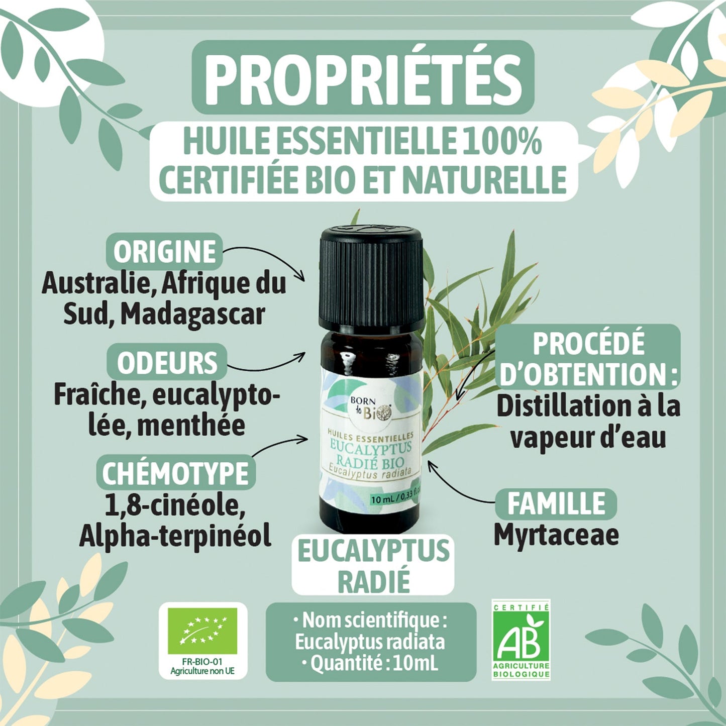 Huile essentielle Eucalyptus radié Certifiée Bio
